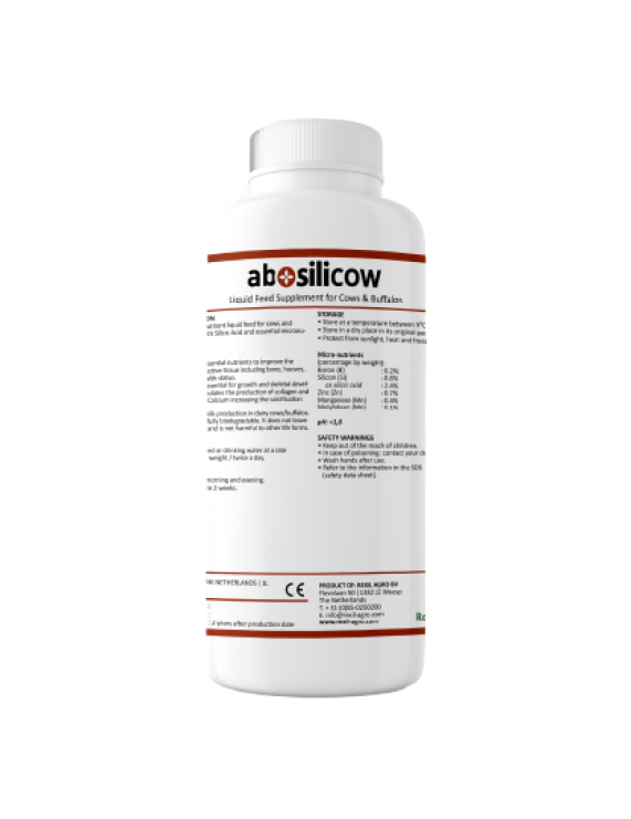 AB Silicow